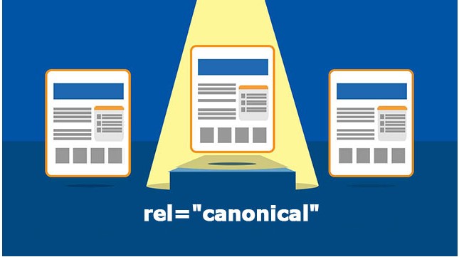 Canonical là gì? Hướng dẫn sử dụng canonical URL hiệu quả nhất cho người mới bắt đầu